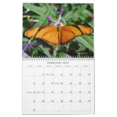 Schöne Schmetterlinge und Mottenkalender Kalender (Feb 2027)