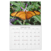 Schöne Schmetterlinge und Mottenkalender Kalender (Feb 2026)