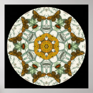 Schöne Schmetterlingflügel Mandala Poster