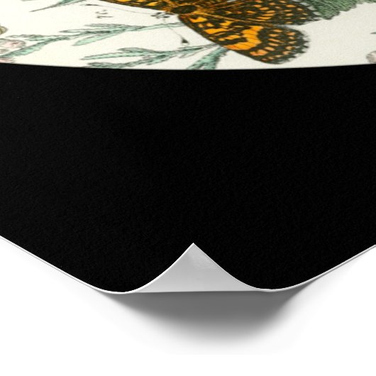 Schöne Schmetterlingsflügel Mandala Poster (Ecke)