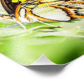 Schöne Schmetterlingsinsekten Fotodruck (Ecke)