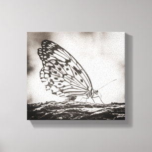 Schöne Schmetterlingsinsekten Natur Canvas drucken Leinwanddruck