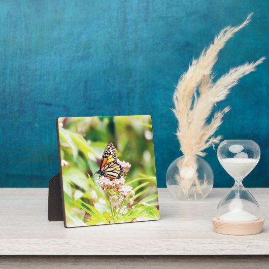 Schöne Schmetterlingskunst Fotoplatte (InSitu)