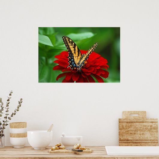 Schöne Schmetterlingsrote Blume Poster (Küche)