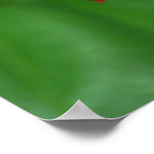 Schöne Schmetterlingsrote Blume Poster (Ecke)