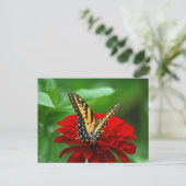 Schöne Schmetterlingsrote Blume Postkarte (Stehend Vorderseite)