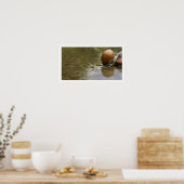 Schöne Schnecke im Wasser Poster (Küche)