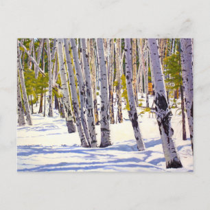 Schöne Schneebärger Weihnachtskarte Postkarte