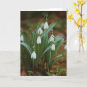 Schöne Schneeflockenblumenfotografie leere Karte (Gelbe Blume)