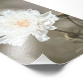 Schöne schneeweiße Blume blüht Fotodruck (Ecke)