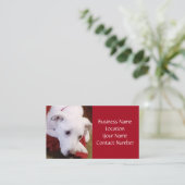 Schöne, schneeweiße Hunderotkarte Visitenkarte (Stehend Vorderseite)