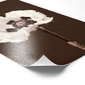 Schöne schneeweiße Wildblume Montana Fotodruck (Ecke)