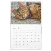 Schöne schöne Bengalische Katzen 2025 Kalender (Mär 2027)