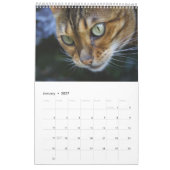 Schöne schöne Bengalische Katzen 2025 Kalender (Jan 2027)