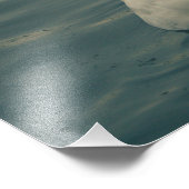 Schöne Schwäne am Meer Fotodruck (Ecke)