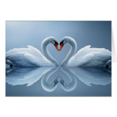 Schöne Schwäne Geschenke (Vorderseite (Horizontal))