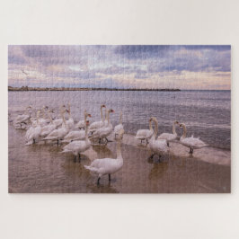 Schöne Schwäne im Morgenpuzzle Puzzle