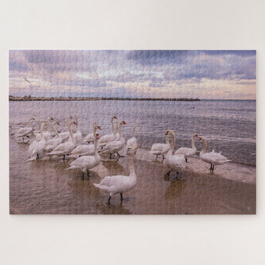 Schöne Schwäne im Morgenpuzzle Puzzle (Horizontal)