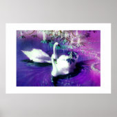 Schöne Schwäne Poster (Vorne)