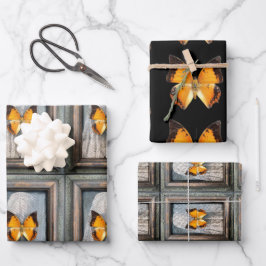 Schöne schwarz-Borded Charaxes Butterfly Geschenkpapier Set