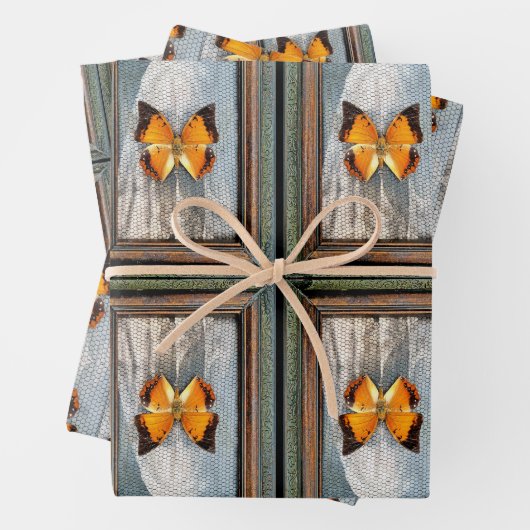 Schöne schwarz-Borded Charaxes Butterfly V2 Geschenkpapier Set (Beispiel)