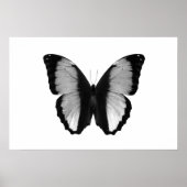 Schöne Schwarz-Weiß-Fotografie Poster (Vorne)