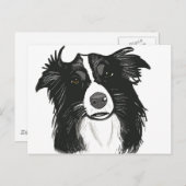 Schöne Schwarz-Weiß-Grenzkollie Postkarte (Vorne/Hinten)