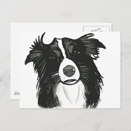 Schöne Schwarz-Weiß-Grenzkollie Postkarte (Vorne/Hinten)