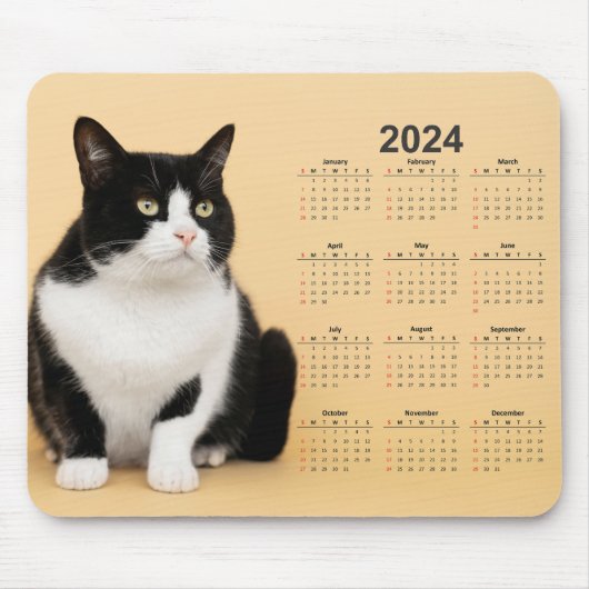 Schöne Schwarz-Weiß-Katze 2024 Kalender Mousepad (Vorne)