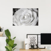 Schöne Schwarz-Weiß-Rose Poster (Heimbüro)