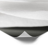 Schöne Schwarz-Weiß-Rose Poster (Ecke)