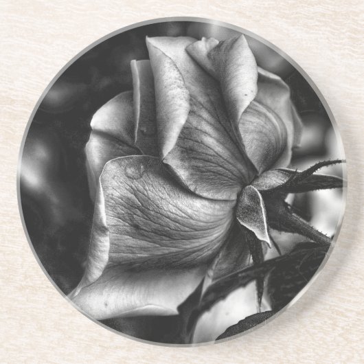 Schöne Schwarz-Weiß-Rose Sandstein Untersetzer (Vorne)