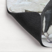 Schöne schwarz-weiße Pinguine auf den Felsen Mousepad (Ecke)