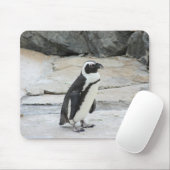 Schöne schwarz-weiße Pinguine auf den Felsen Mousepad (Mit Mouse)