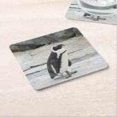 Schöne schwarz-weiße Pinguine auf den Felsen Rechteckiger Pappuntersetzer (angewinkelt)
