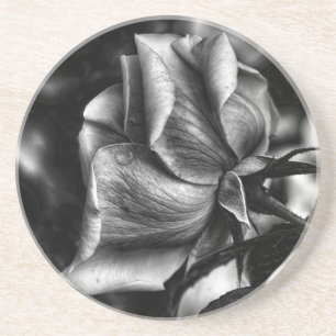 Schöne schwarz-weiße Rose Sandstein Untersetzer