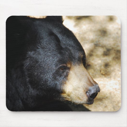 Schöne Schwarzbär-Mauspad Mousepad (Vorne)