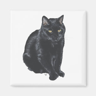 Schöne schwarze Katze Magnet