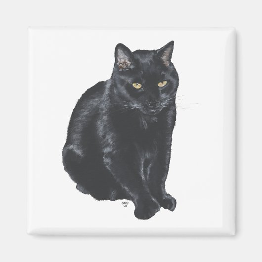 Schöne schwarze Katze Magnet (Vorne)