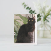 Schöne schwarze Katze Postkarte (Stehend Vorderseite)