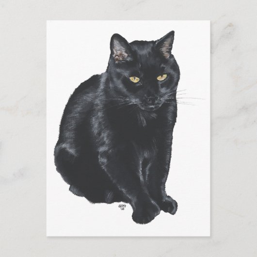 Schöne schwarze Katze Postkarte (Vorderseite)