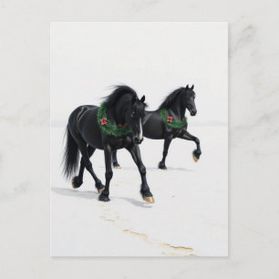 Schöne schwarze Pferde Winter Schnee Weihnachten Postkarte
