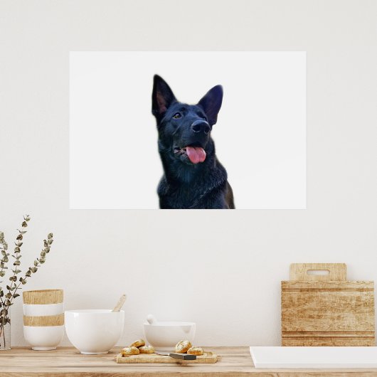 Schöne schwarze Schafhirte Poster (Küche)