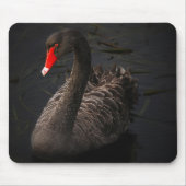 Schöne Schwarze Schwäne Am Fluss schwimmen Mousepad (Vorne)