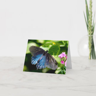 Schöne schwarze und blaue karte