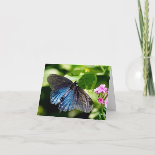 Schöne schwarze und blaue karte (Vorderseite)