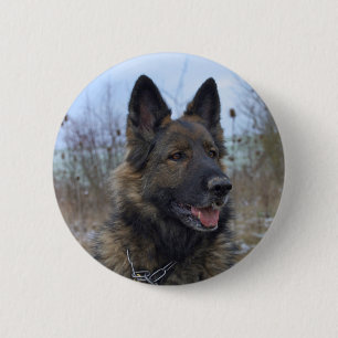 schöne schwarze und bräunliche deutsche Schäferwel Button