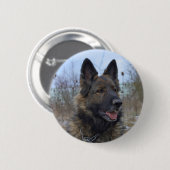 schöne schwarze und bräunliche deutsche Schäferwel Button (Vorne & Hinten)