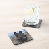 schöne schwarze und bräunliche deutsche Schäferwel Untersetzer (Rechte Seite)