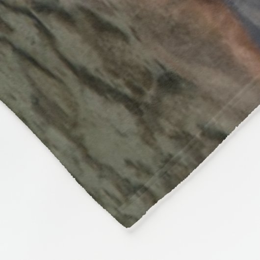 Schöne Schweizer-Alpen des Palpuogna See-| Fleecedecke (Ecke)